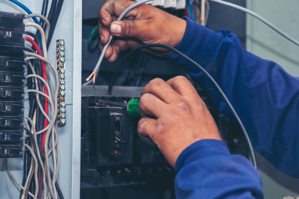 Best Electric Panel Repair  in Shelbyville, KY